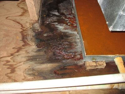 About A1 Pro Restoration Group - water damage restoration experts in Birmingham